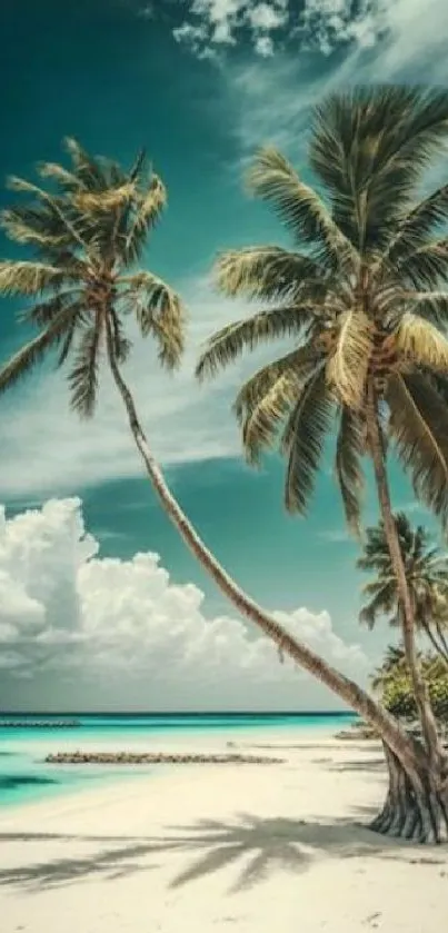 Tropical beach view with palm trees and azure sea.