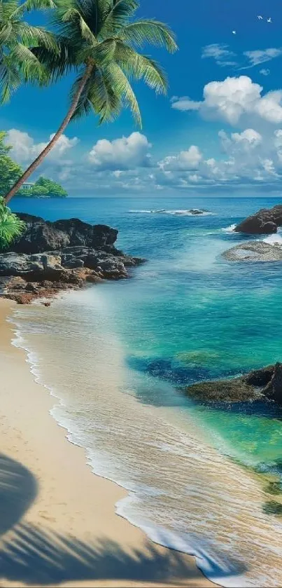 Tropical beach with palm trees and turquoise ocean under blue skies.