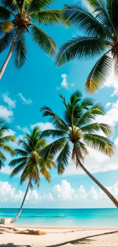 Tropical beach with palm trees and turquoise sea under a blue sky.