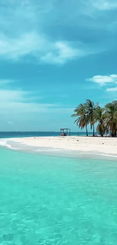 Tropical beach with palm trees and turquoise ocean under a blue sky.