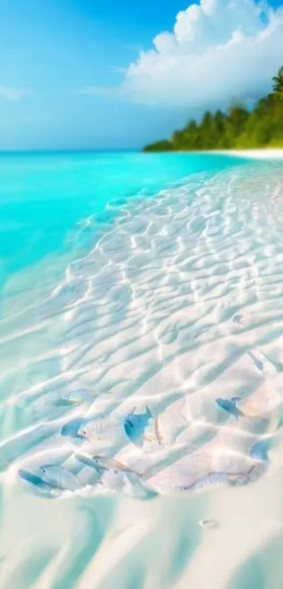 Breathtaking tropical beach with turquoise sea and palm trees.