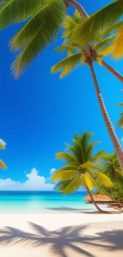 Tropical beach with palm trees under a bright blue sky.