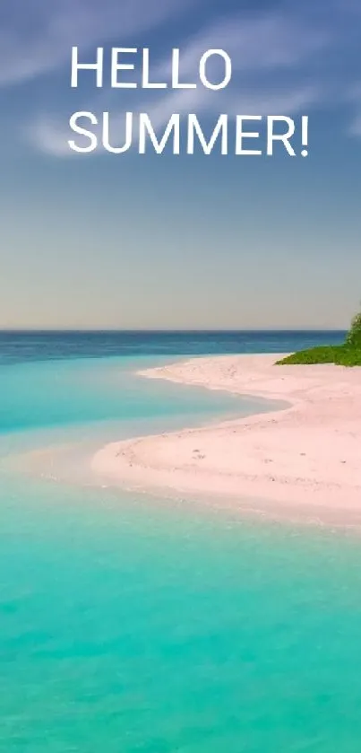 Tropical beach with palm trees and turquoise ocean under a clear blue sky