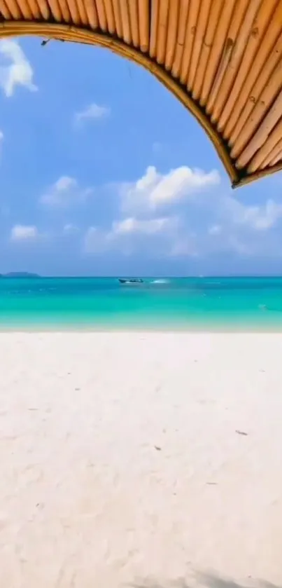 Tropical beach with bamboo canopy and turquoise ocean.