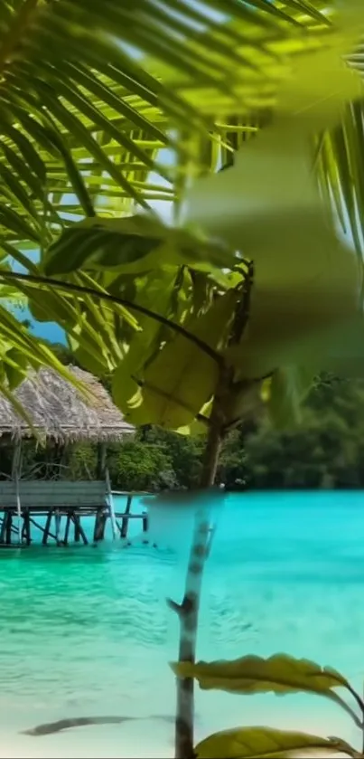 Tropical beach with palm trees and turquoise water.