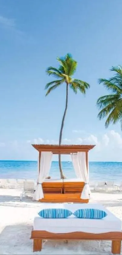 Serene tropical beach with palm trees and white sand, perfect for relaxation.