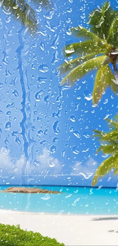 Tropical beach with azure sky, palm trees, and clear ocean water.