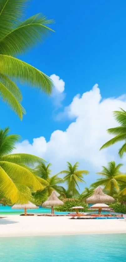 Tropical beach with palm trees and clear blue sky.