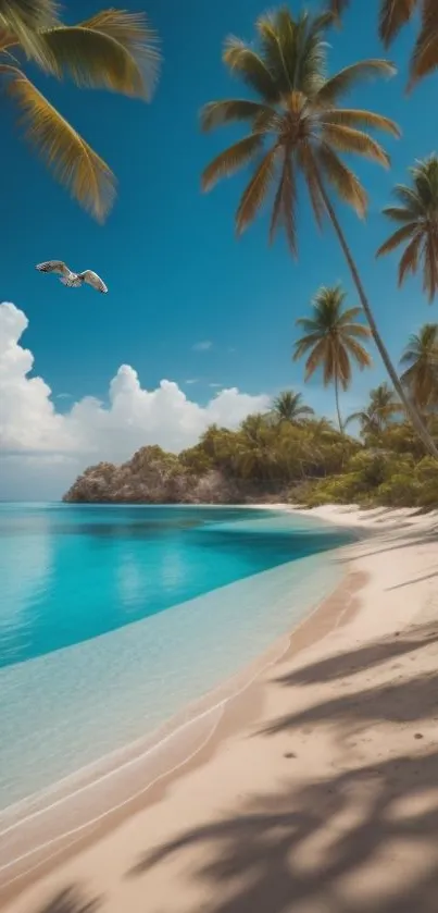 Tropical beach with turquoise waters, palm trees, and a blue sky.