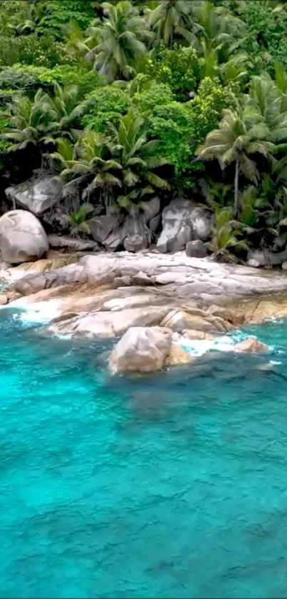 Tropical beach with teal waters and lush palm trees.