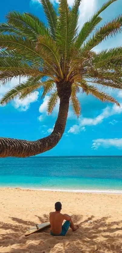 Mobile wallpaper of a tropical beach with palm trees and clear blue ocean.