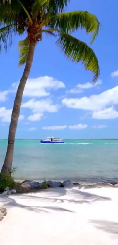 Tropical beach scene with palm tree and blue ocean.