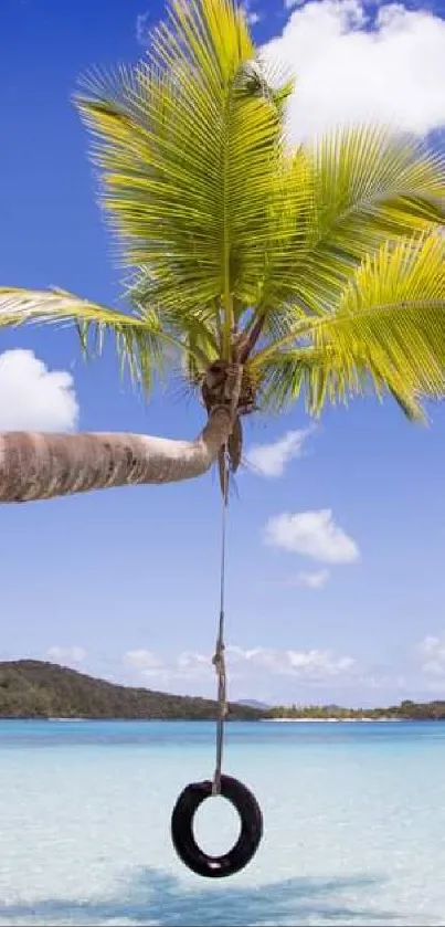 Tropical beach with palm tree and blue sky.