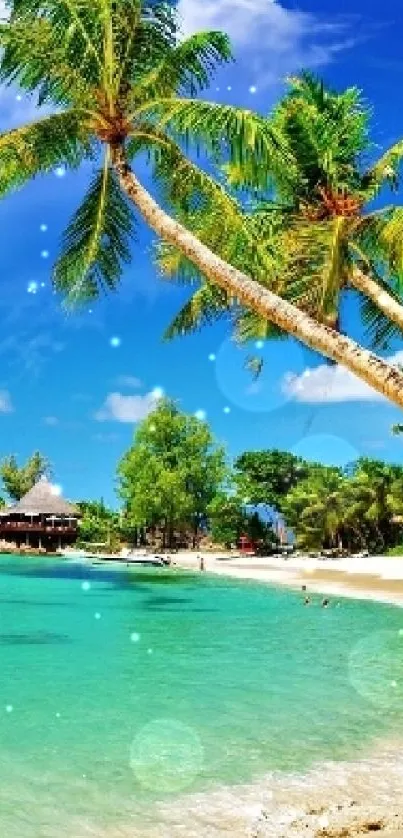 Tropical beach with turquoise waters, palm trees, and blue sky.