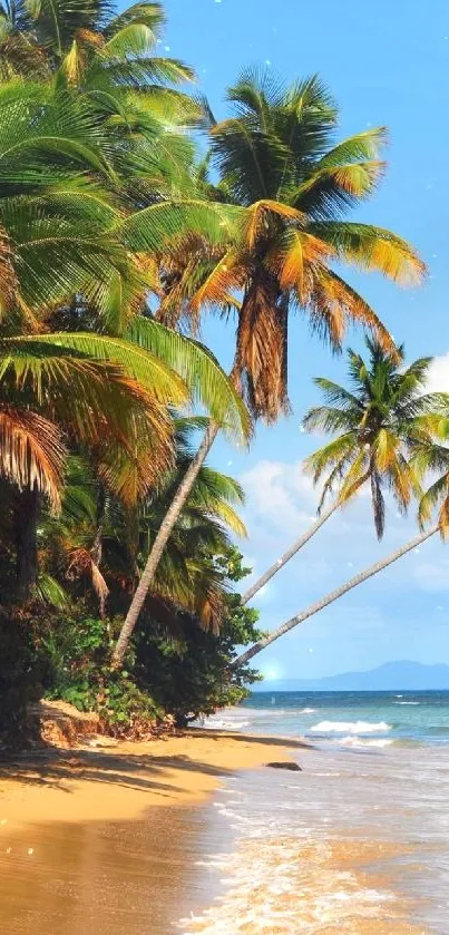 Tropical beach wallpaper with palm trees and clear sea.