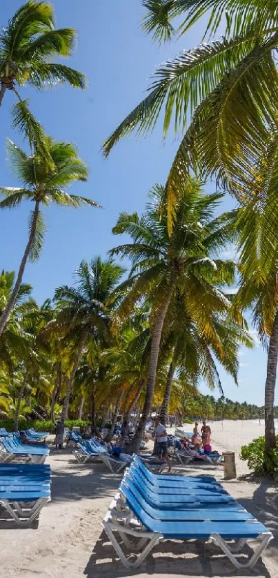 Vibrant tropical beach with palm trees and a clear blue sky.