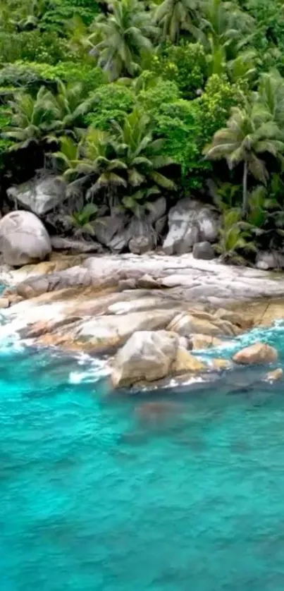 Tropical beach wallpaper with turquoise sea and green foliage.