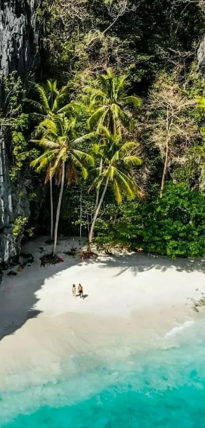 A picturesque tropical beach with turquoise waters and palm trees.