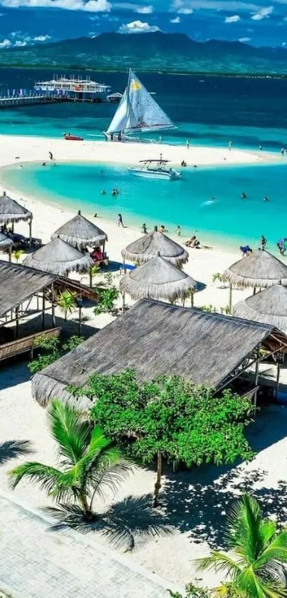 Tropical beach wallpaper with azure waters and palm trees.