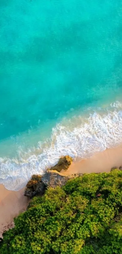 Vibrant tropical beach with turquoise waters and lush green foliage.