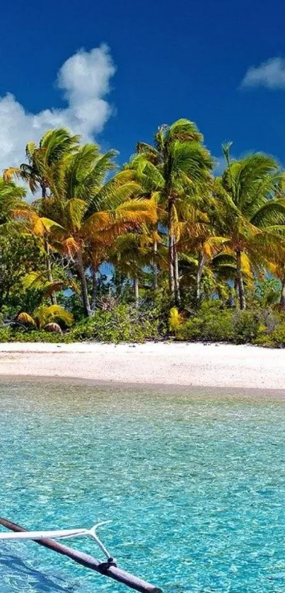 Tropical beach wallpaper with palm trees and clear water.