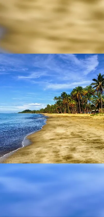 Mobile wallpaper featuring a tropical beach with palms and a bright blue sky.