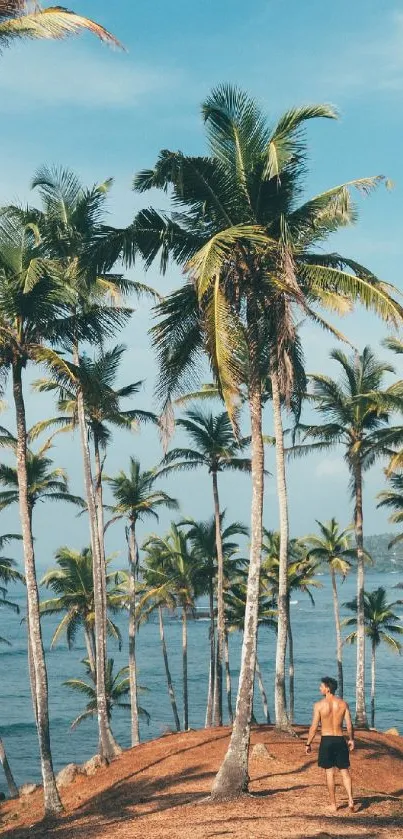 Tropical beach with palm trees and clear blue ocean scenery.