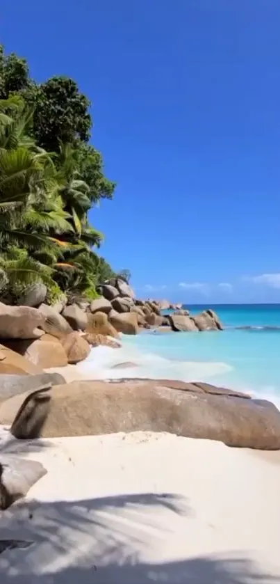 Tropical beach with turquoise water and lush greenery under a clear blue sky.