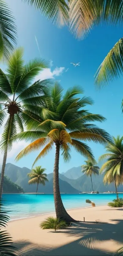 Tropical beach with palm trees and blue ocean under clear sky.
