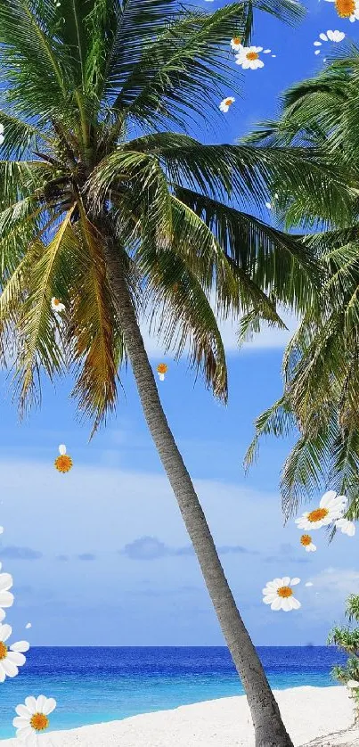 Tropical beach wallpaper with palms and daisies on a sunny day.