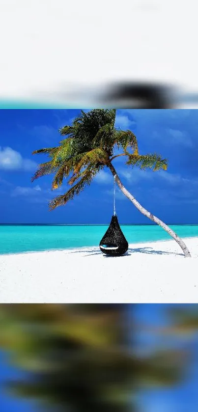 Tropical beach with a palm tree and hammock, against blue sky and ocean.