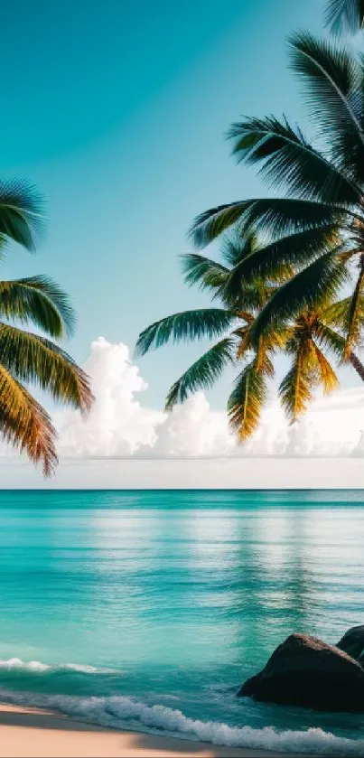 Tropical beach with palm trees and turquoise water under a bright sky.