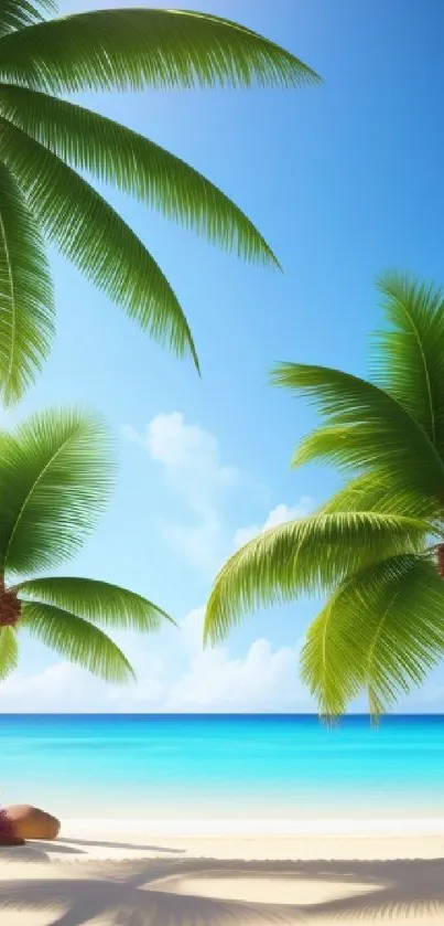 Tropical beach with palm trees and blue ocean under a clear sky.