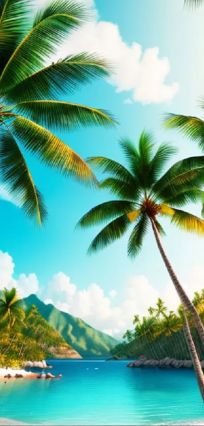 Tropical beach wallpaper with palm trees and ocean view.