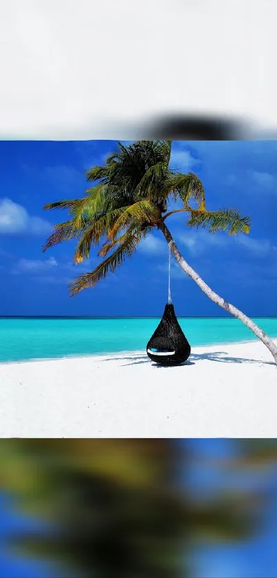 Palm tree on tropical beach with blue sea and sky.