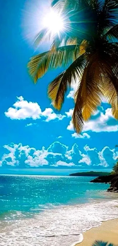 Beach landscape with palm trees under a bright sun and blue sky.