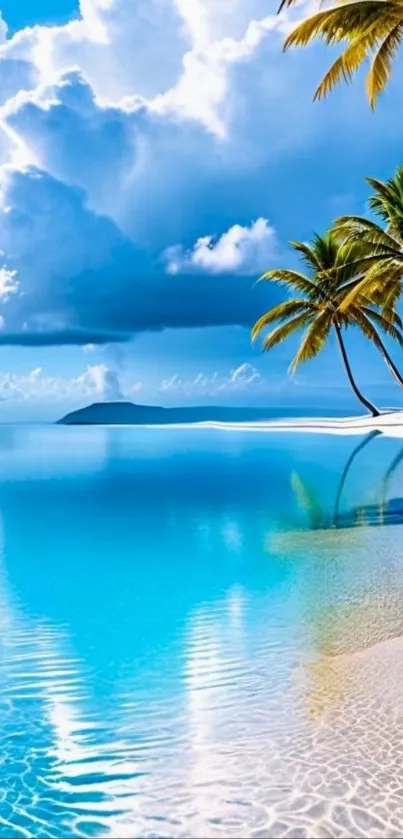 Tropical beach with palm trees and blue ocean under a cloudy sky.