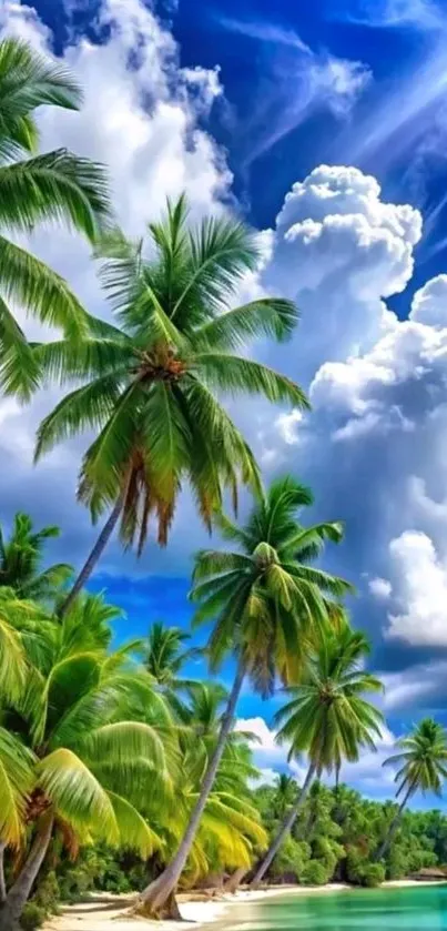 Tropical beach with palm trees and blue sky wallpaper.