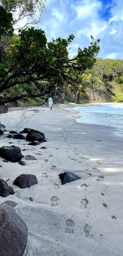 A serene tropical beach pathway with footprints in the sand and lush greenery.