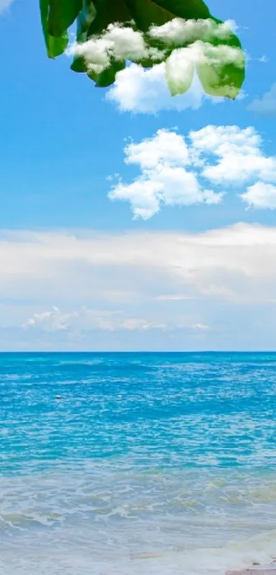 Beautiful tropical beach with blue ocean and leafy canopy in phone wallpaper.