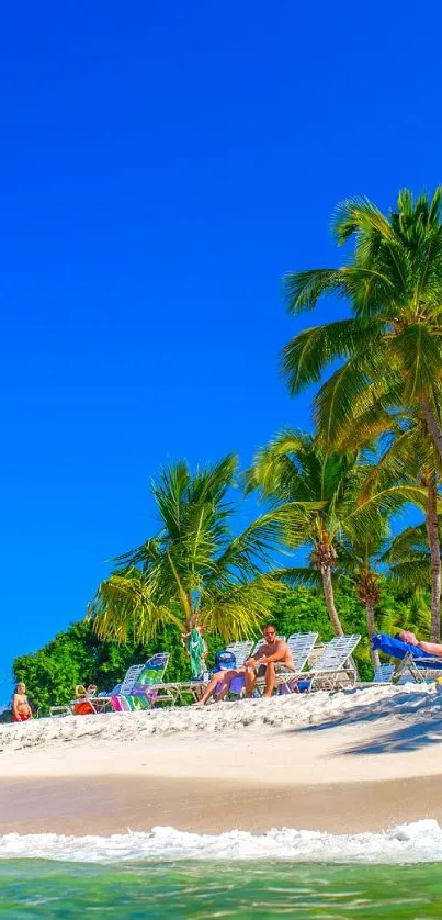 Tropical beach with palm trees and turquoise water under a clear blue sky.