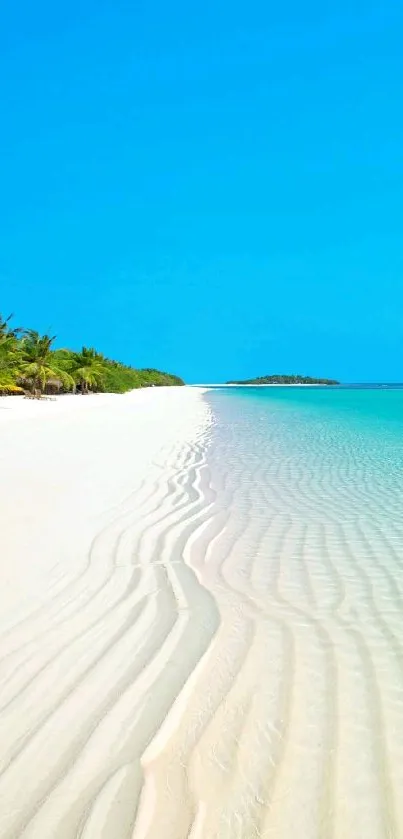 Stunning tropical beach with clear blue skies and pristine sand.