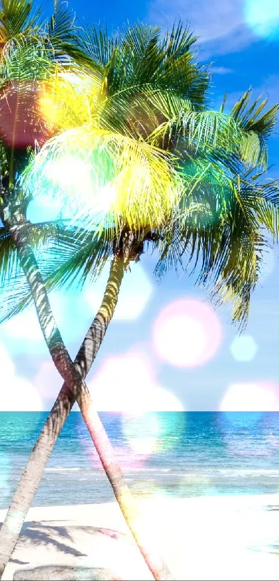 Palm trees on a sunny tropical beach with blue skies and ocean waves.