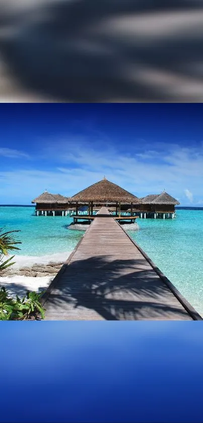 Tropical beach pier with blue ocean and sky mobile wallpaper.