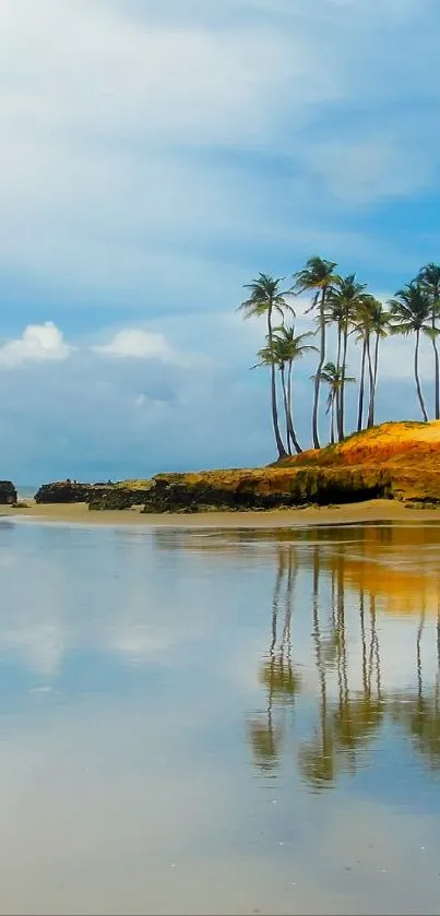 Tropical beach with palm trees and reflections on calm water.