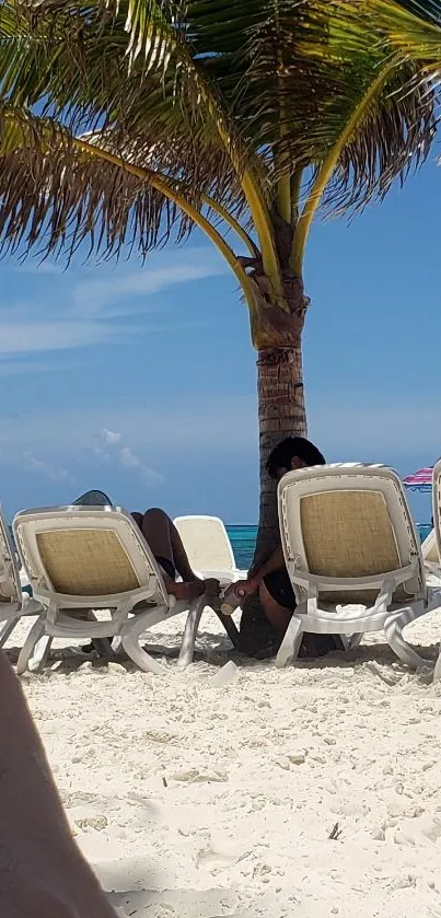 Relax under a palm tree on a sunny beach with lounge chairs and blue sky.