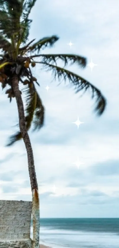 Tropical beach view with palm trees and ocean waves.