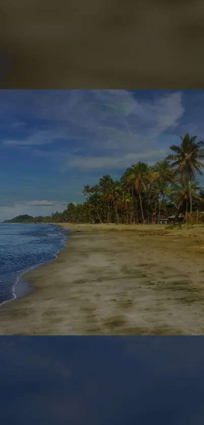 Tropical beach with palm trees and ocean view under a blue sky.