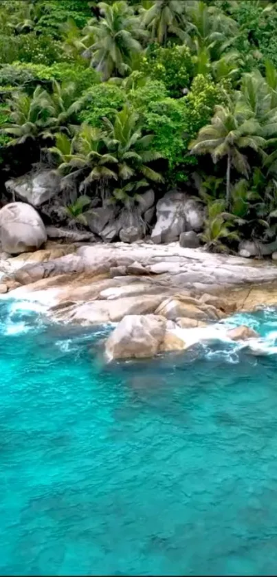 Tropical beach with turquoise ocean and lush green palms.