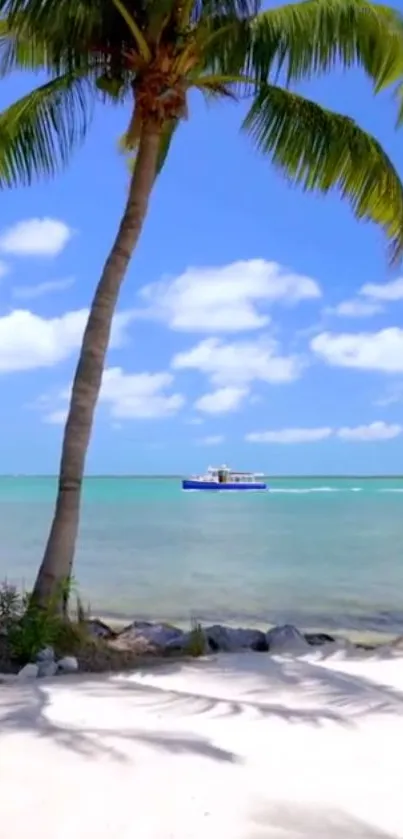 Palm tree on a serene tropical beach with azure sky and calm ocean.